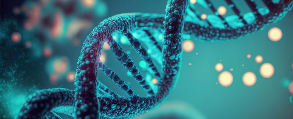 DNA structure