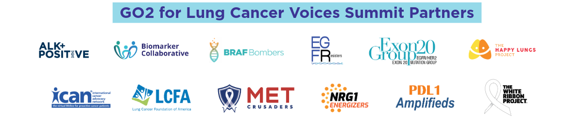 partner logos Voices Summit