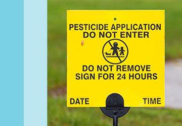 blog preview risk survey