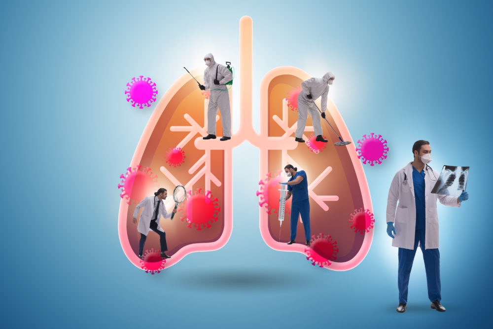doctor studying lungs